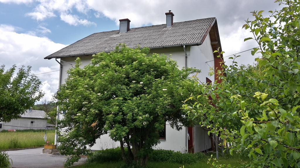 Отель House Petkovic Кореница Экстерьер фото